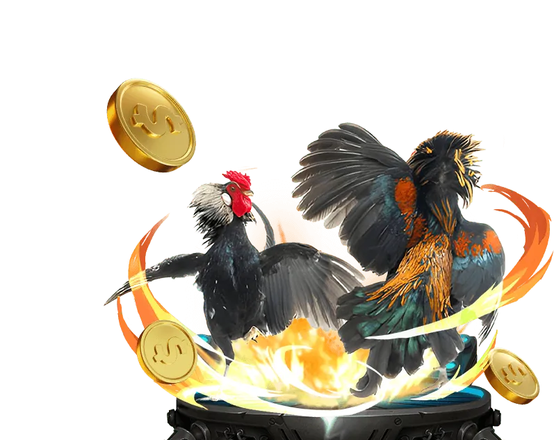 Tổng quan về đá gà trực tuyến Game Sunwin